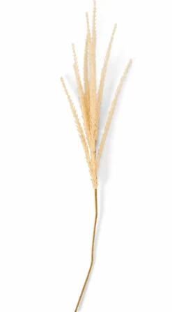 ADDO Florero Crema