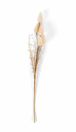 ADDO Florero Crema