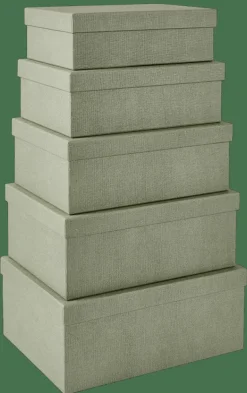 BIGSO Caja De Almacenaje Menta