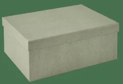 BIGSO Caja De Almacenaje L Menta