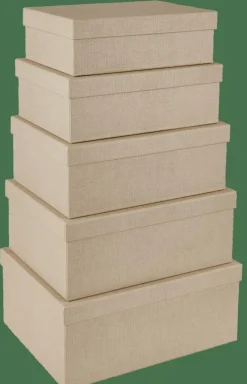 BIGSO Caja De Almacenaje L Natural