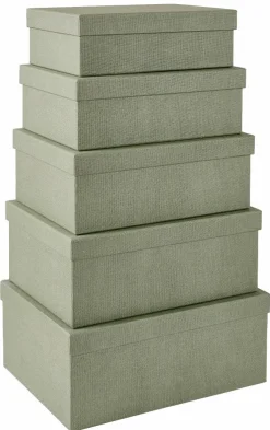 BIGSO Organizador De Cajón 5 Partes Suelt. Menta