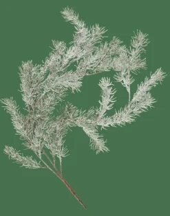 CEDER Rama Decorativa Verde