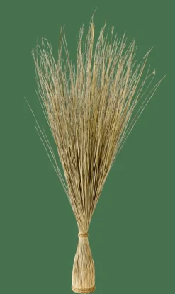 COGON Haz De Hierba Natural