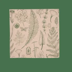 ECO NATURE Paquete De 20 Servilletas Multicolor