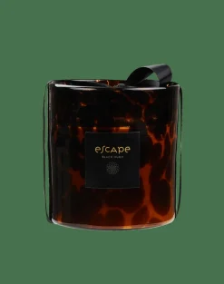 ESCAPE BLACK OUDH Marrón, Ocre, Multicolor