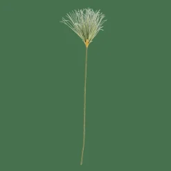 GRASS Haz De Hierba Verde