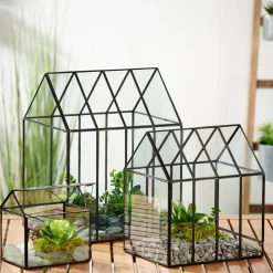 GREENHOUSE Invernadero Transparente