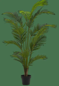 KWAI Palma Verde