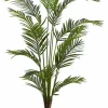 KWAI Palmera Verde