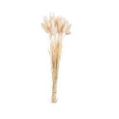 LINDE Florero Beis