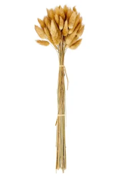 LINDE Florero Marrón Claro