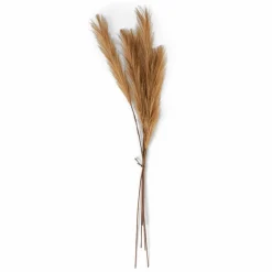 LINDE Florero Marrón Claro