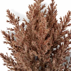 LINDE Florero Marrón Claro