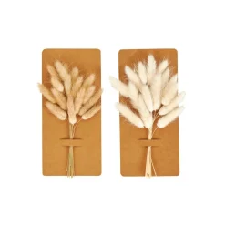MINA Decoración Seca Marrón