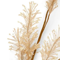 PAMPA Hierba De Las Pampas Blanco
