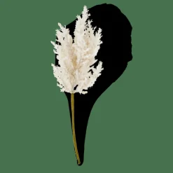 PLUME Tallo Blanco Apagado