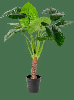 TARO Planta Artificial ARO Verde