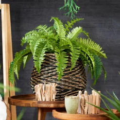 TEAK Soporte Natural