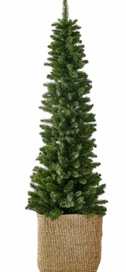 TULLY Decoración Colgante Blanco